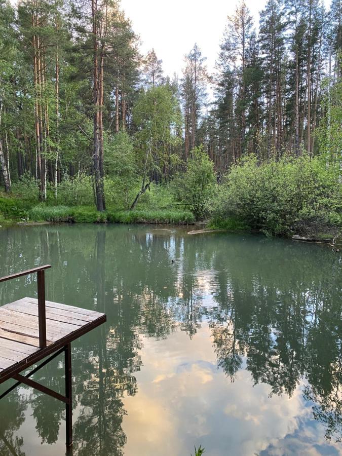 Forest And Lake Borovoje Kültér fotó