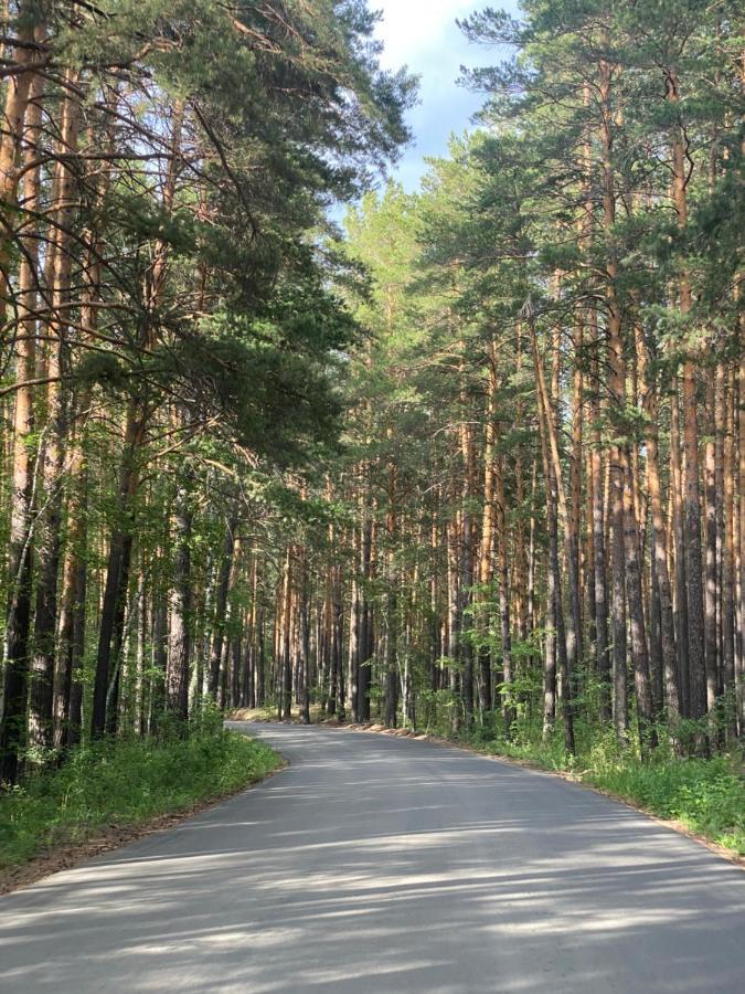 Forest And Lake Borovoje Kültér fotó