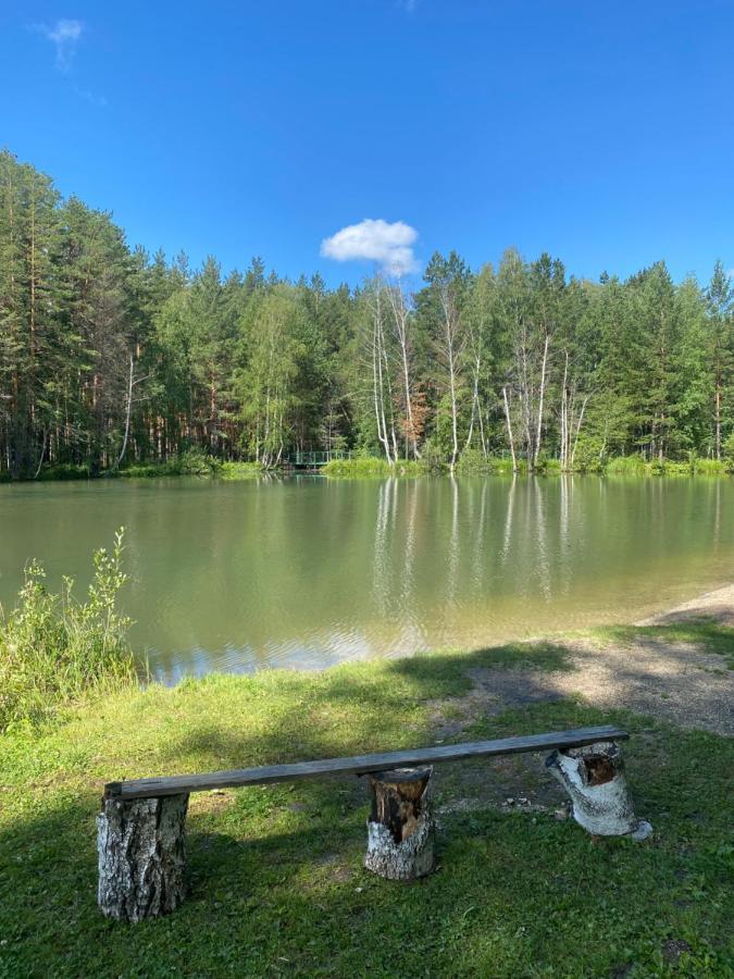 Forest And Lake Borovoje Kültér fotó